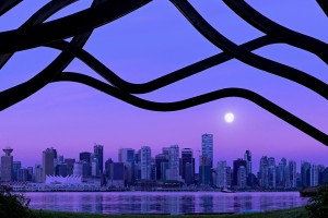世界举重青训营学员康复档案与复出案例公开，世界举重队